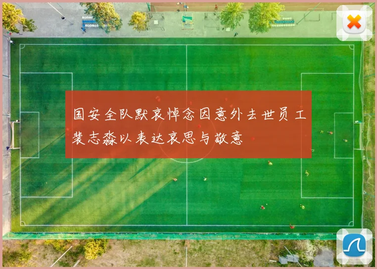 国安全队默哀悼念因意外去世员工裴志淼以表达哀思与敬意