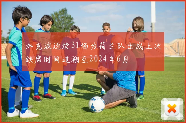 加克波连续31场为荷兰队出战上次缺席时间追溯至2024年6月