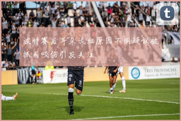 波特赛后耳朵流血原因不明疑似被抓或咬伤引发关注