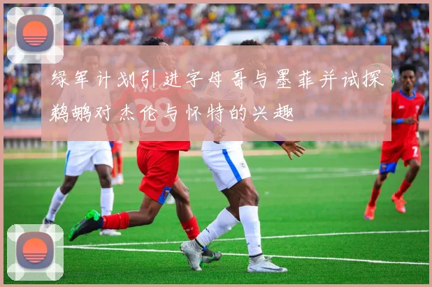 绿军计划引进字母哥与墨菲并试探鹈鹕对杰伦与怀特的兴趣